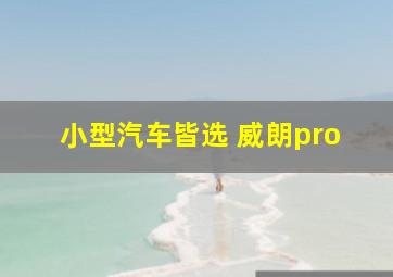 小型汽车皆选 威朗pro